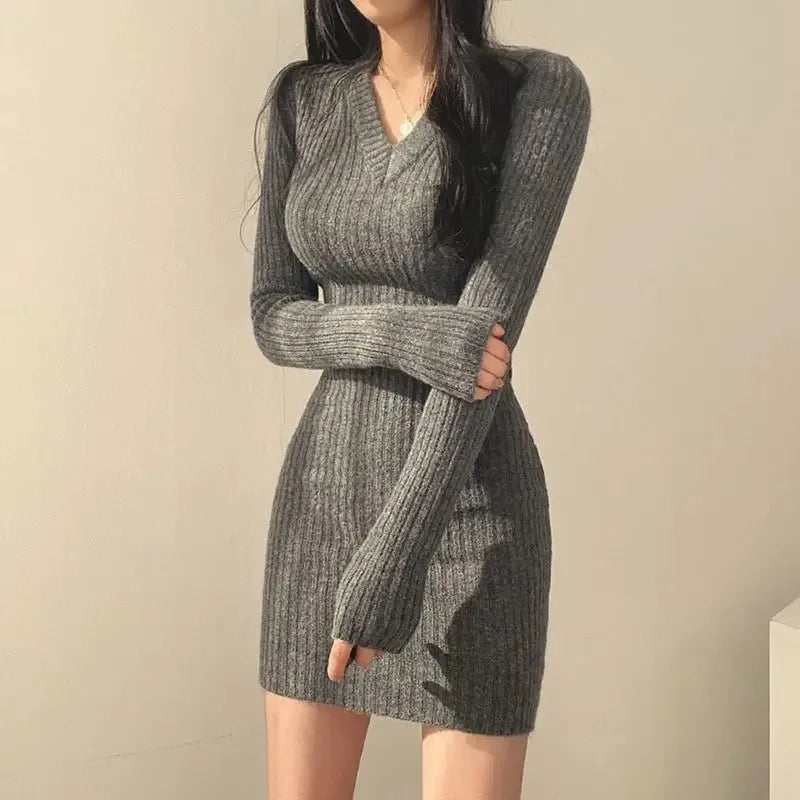 Bodycon winter dress