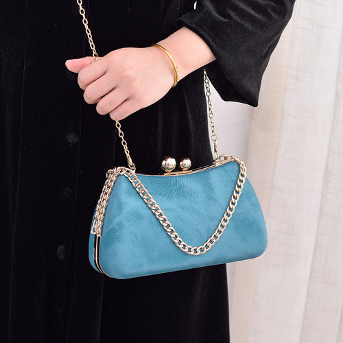 Delia Chain Handbags